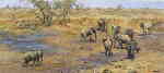 davidshepherd-africanwaterhole